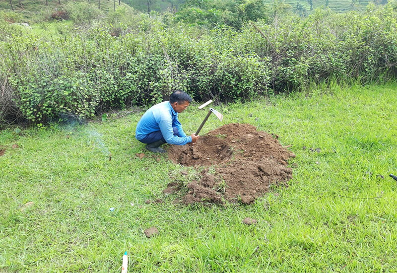 Plantation Done By Himalayan Movement Uttarakhand