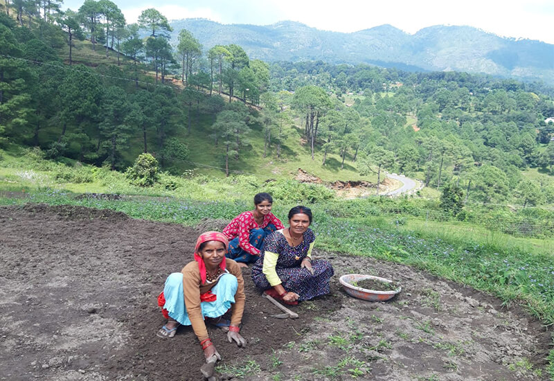 Women Employed in a village